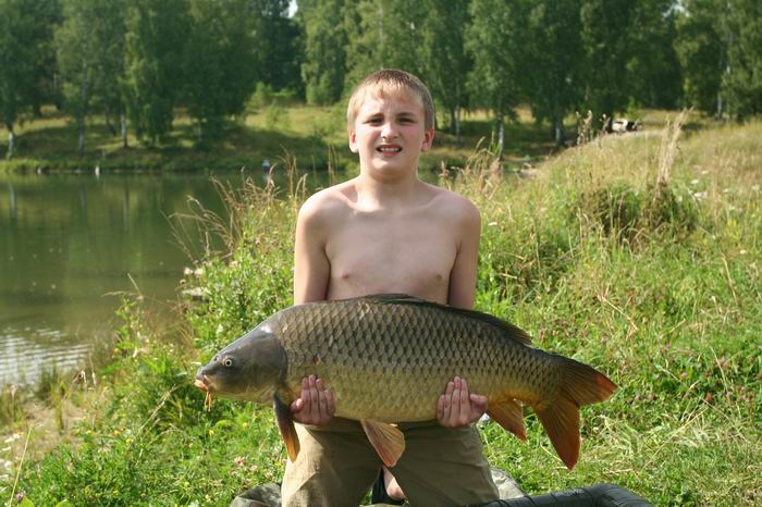 11 кг
