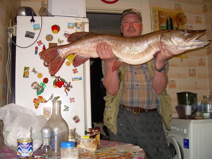 Рыба