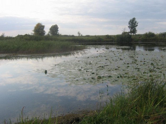 клёвоё место