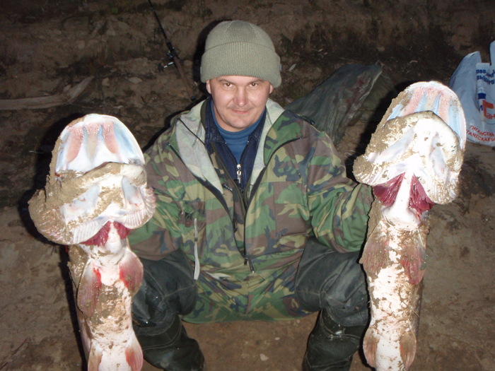 Крокодильчики!