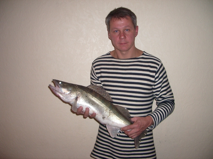 Море. Судак. 3050!