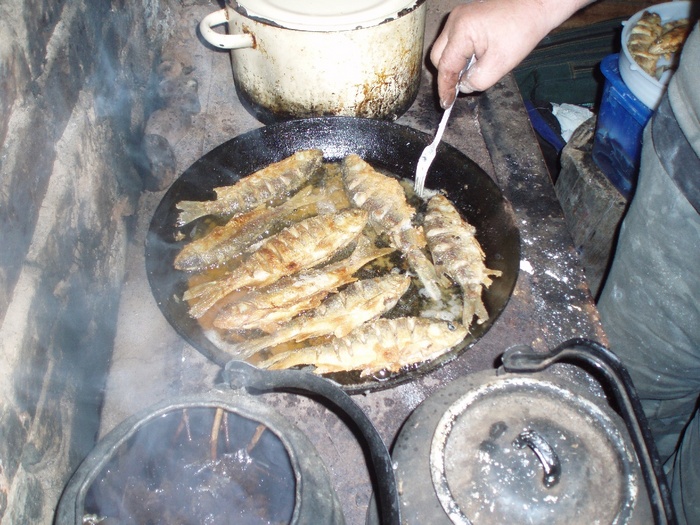 К отчету "Таежная рыбалка или от Колпашево до Тыма" часть3. Ох и вкусные были ельчики 