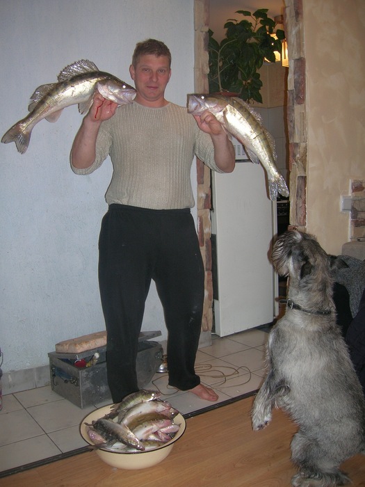Есть крупничок в море.Извеняйте,что дома сели батарейки на фотике.