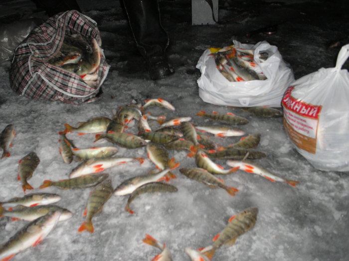 06.12.08 рыбопромысловый участок "Левый Берег"