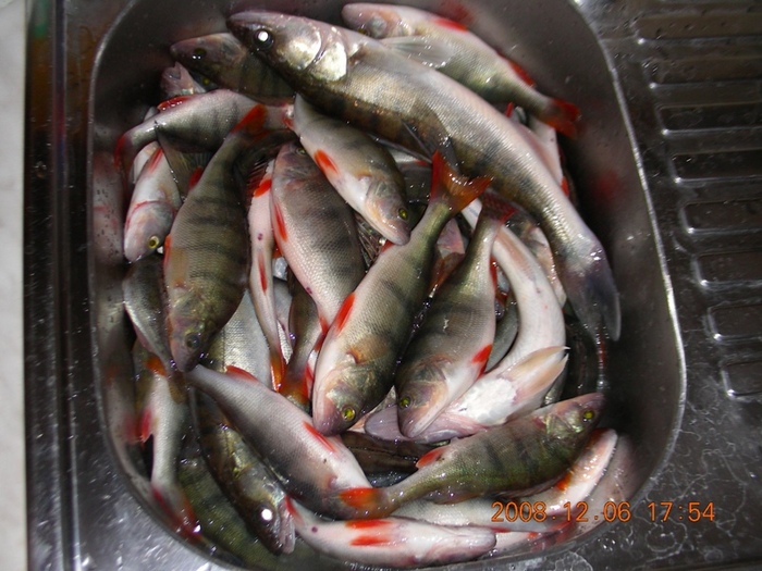 6 кг ровно