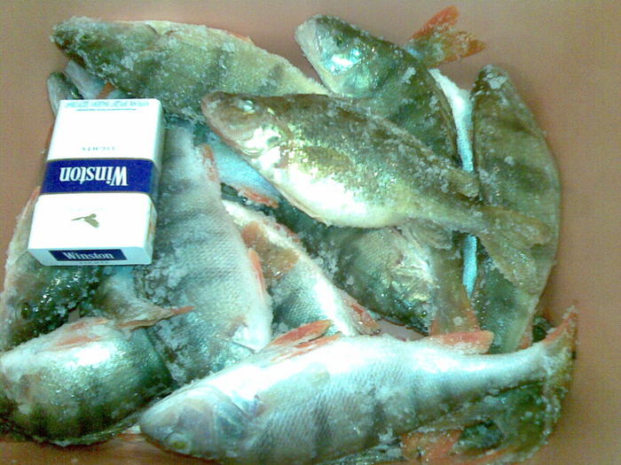 рядом с таиванем