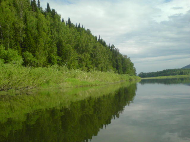 р.Томь