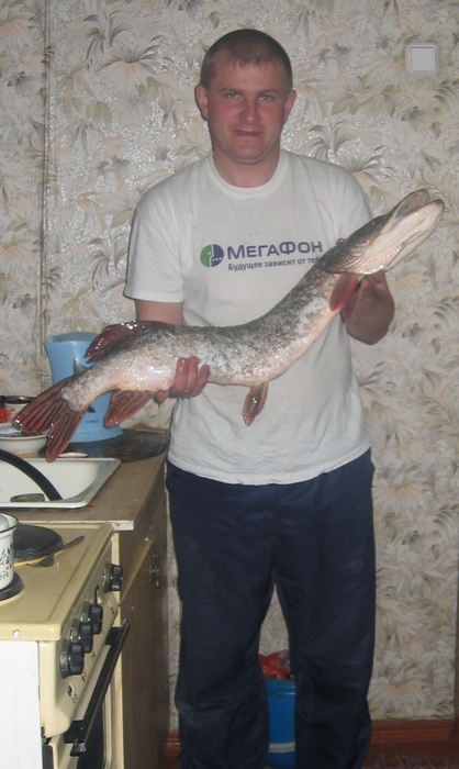 Ташара 2006 год