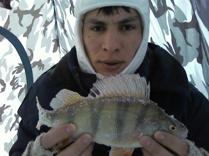 окушок 400гр