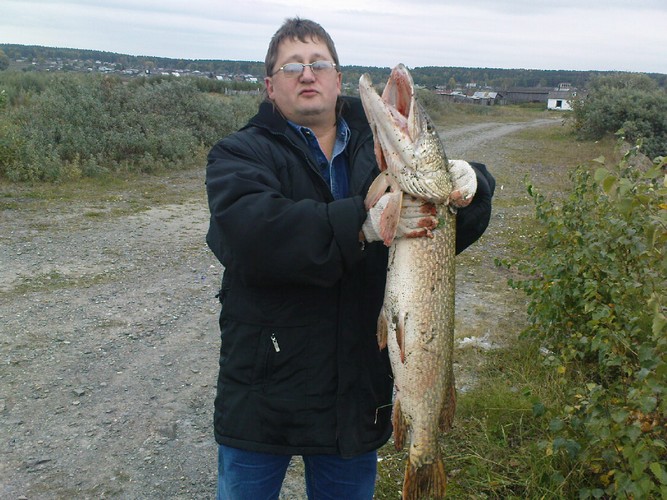 Это та же щука только с моим другом!!!! 