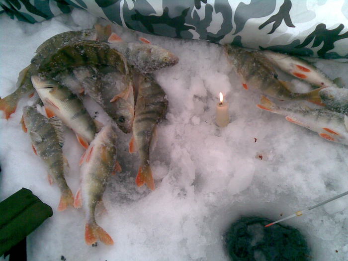 08.02.2009. Умовская коса