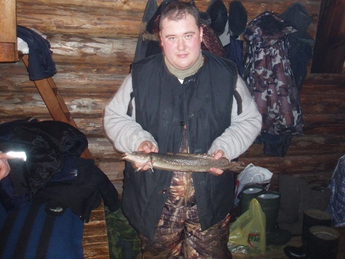 трудовой налим на малька, в тайге  мороз в 10 утра - 37, фотоаппарат с собой не брали, прошу прошения что не на речке фотал, а уже на заимке