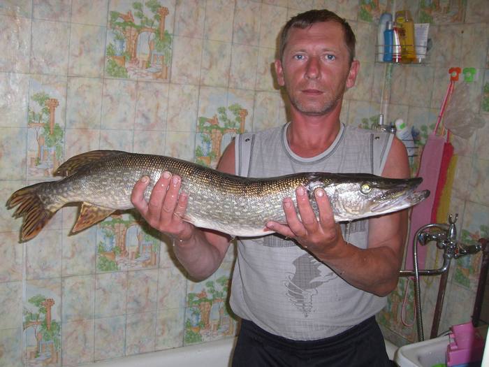 Трешка из Ини 15.08.2008