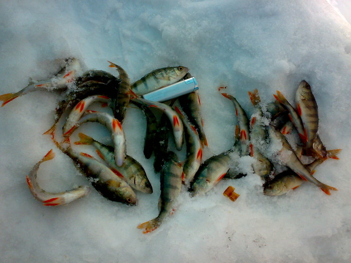 На выходе из Каена!!! 07.03.09
