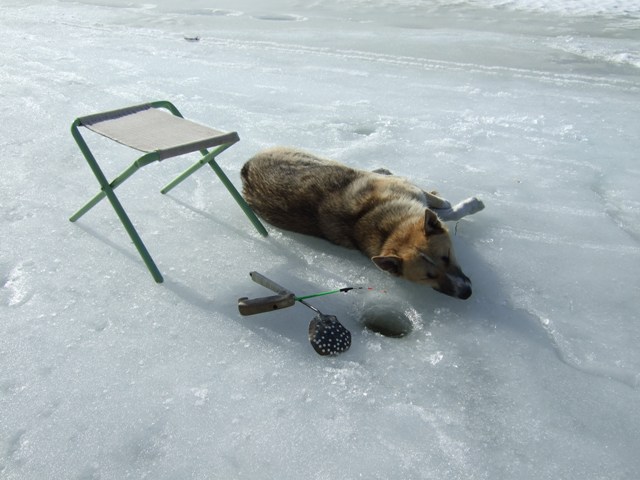 И такое бывает.