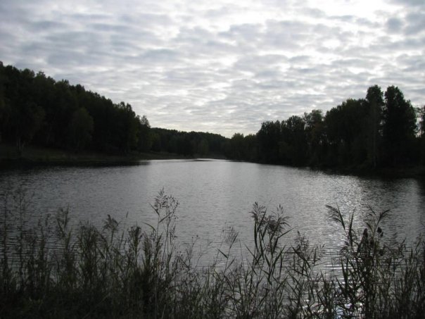 утром