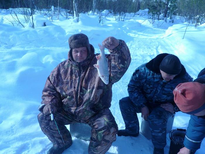 Северный и подъязок