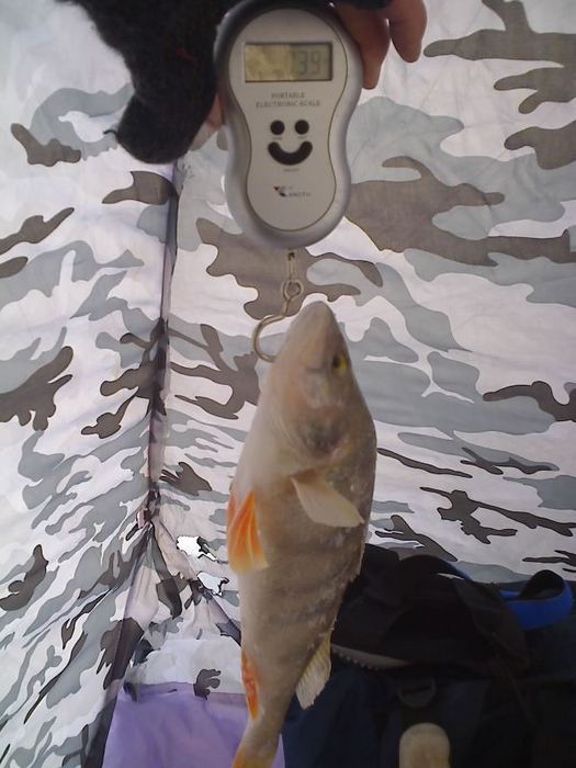 390гр. от Finn