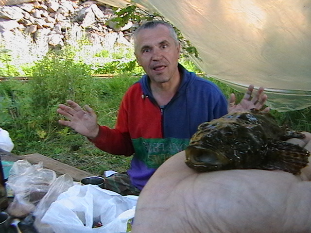 Что только не поймаешь.