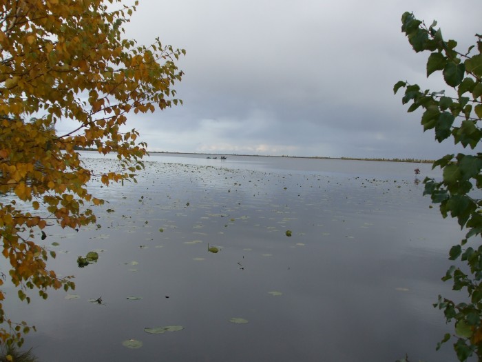 Тенис, сентябрь 2008