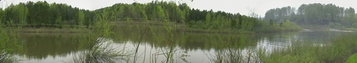Природа на даче (инюшка)
