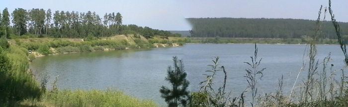 Бердский залив
