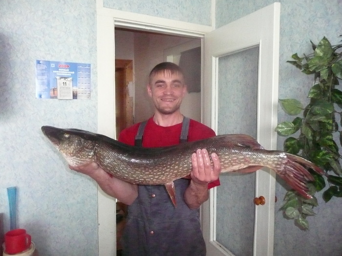 ну этого наверно хватит