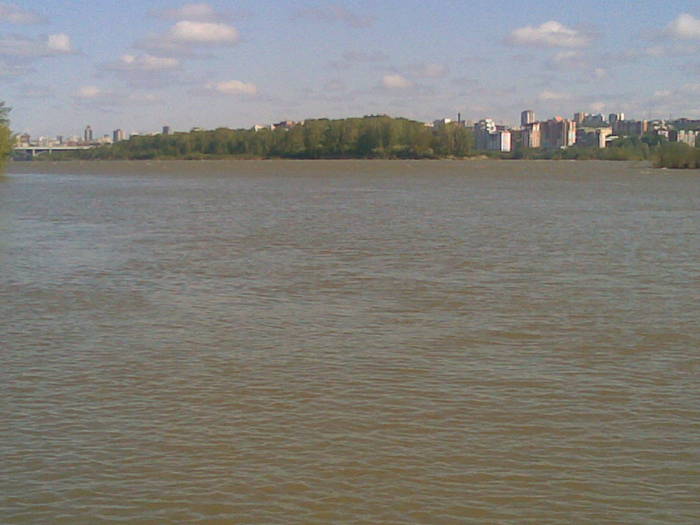 вода на Оби поднялась  а рыба пропала.