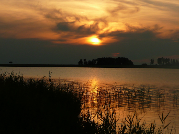 Чановский закат лето 2008г