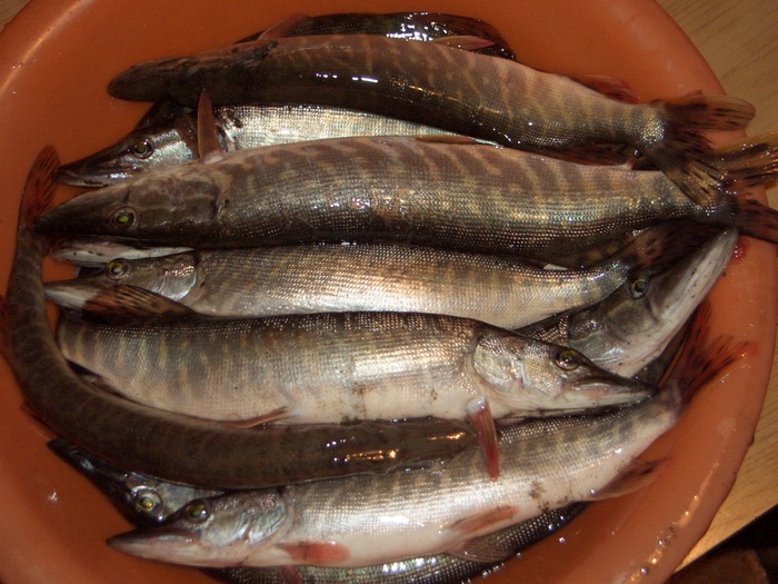 MEPPS AGLIA рулит