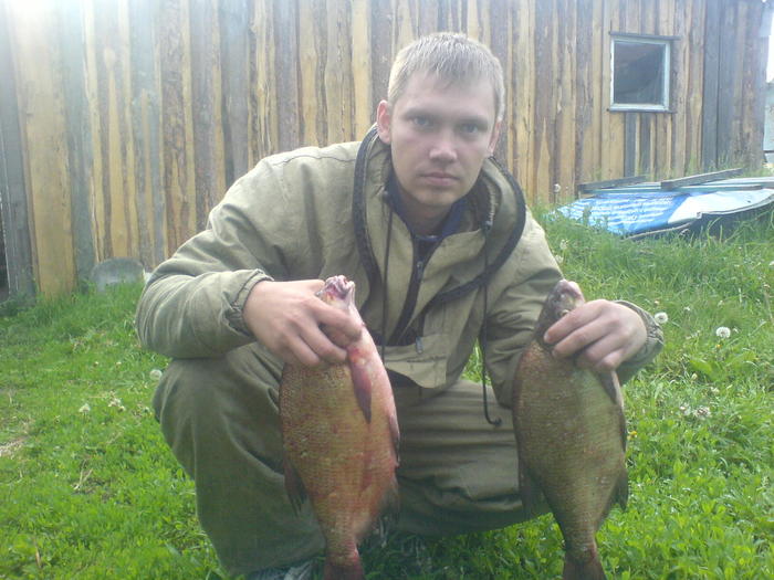 Дома уже,самые крупные 1,5 и 1,3