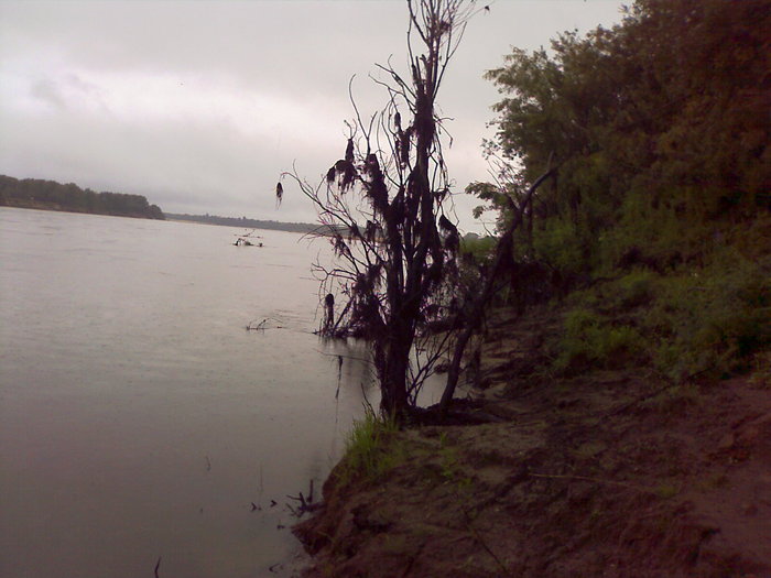протока. вода упала.