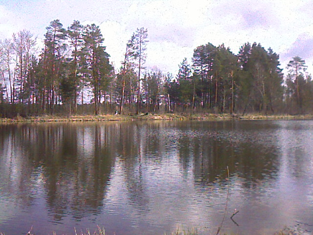 Природа нашего Сургута,радует глаз.