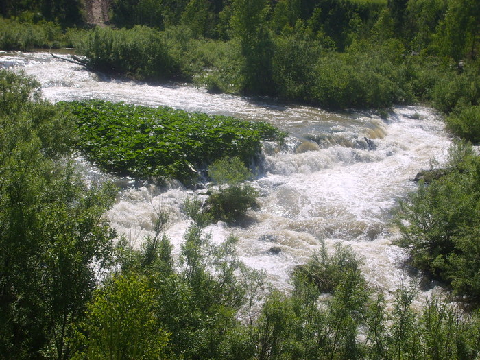 суенга 