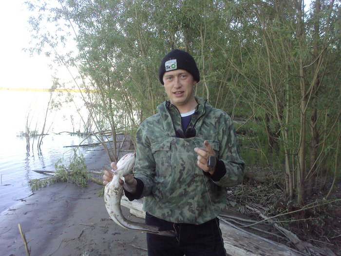Налим 1,2 кг на закидушку