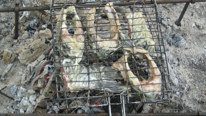 Шашлычек из карасика