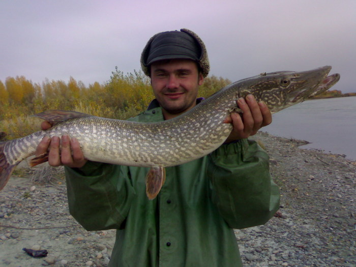 Осень 2008г. р. Катунь