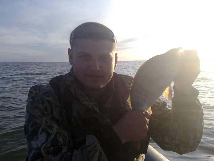 Умовский окунь, сегодня.