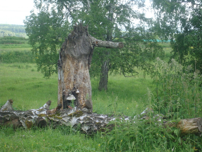 Леший :-)