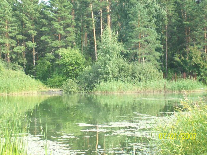 залив на обском море