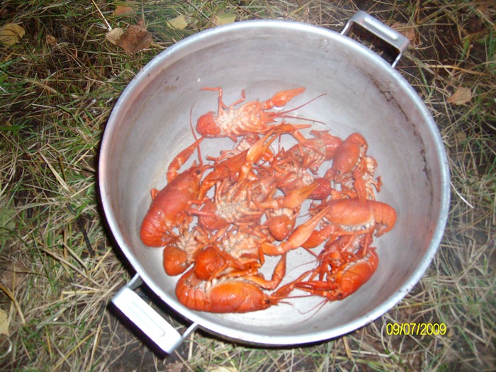 Красавчики))
