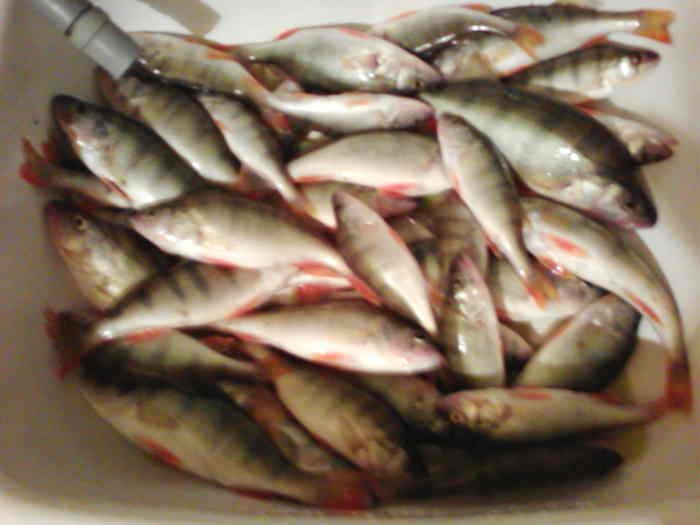 Куба. Час рыбалки перед закатом.