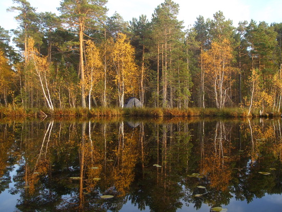 тенис 2009