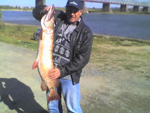 Те же в полный рост.
