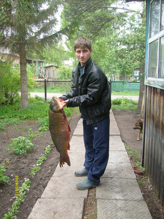 карп 9кг пойман 23 мая 2009