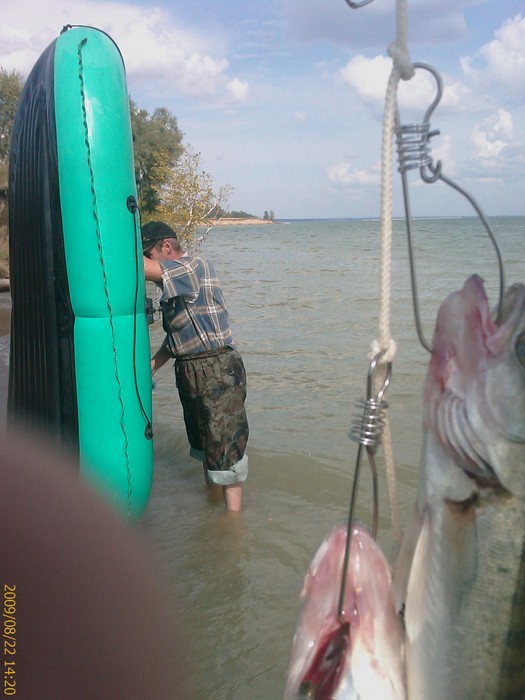 рыба больше лодки