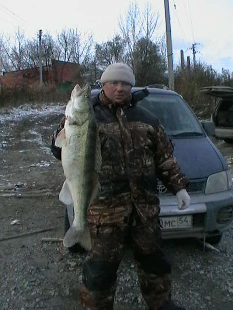 Сезон закрыт. 6370