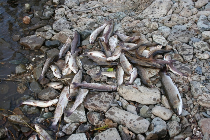 Ленки, река Яй.