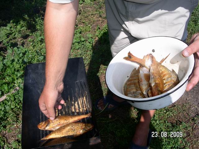 лето 2009