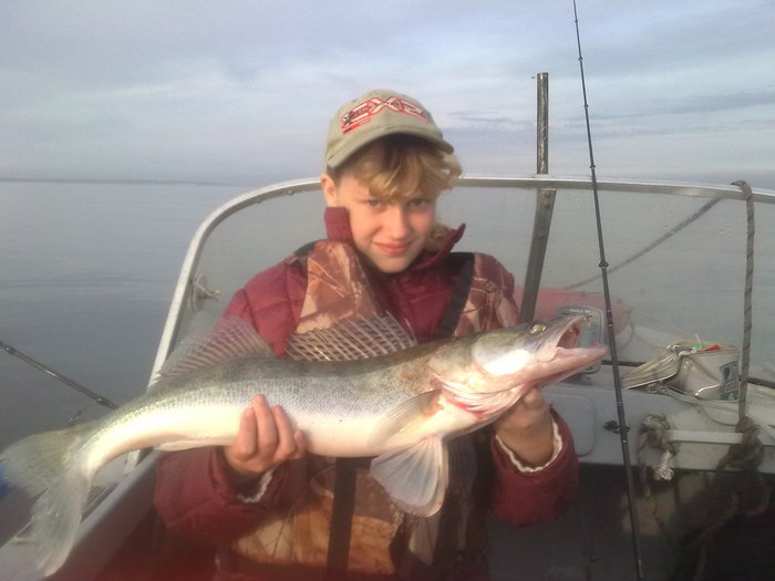 вот такие судаки сегодня ловились на море